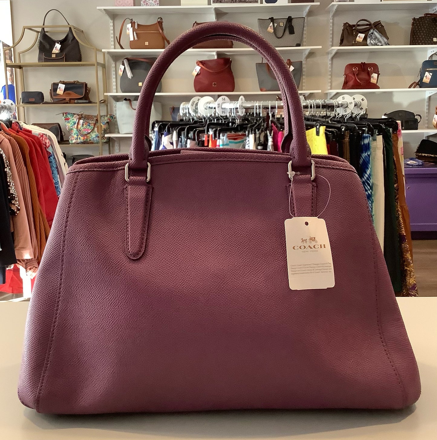 Coach Small Margot Carryall