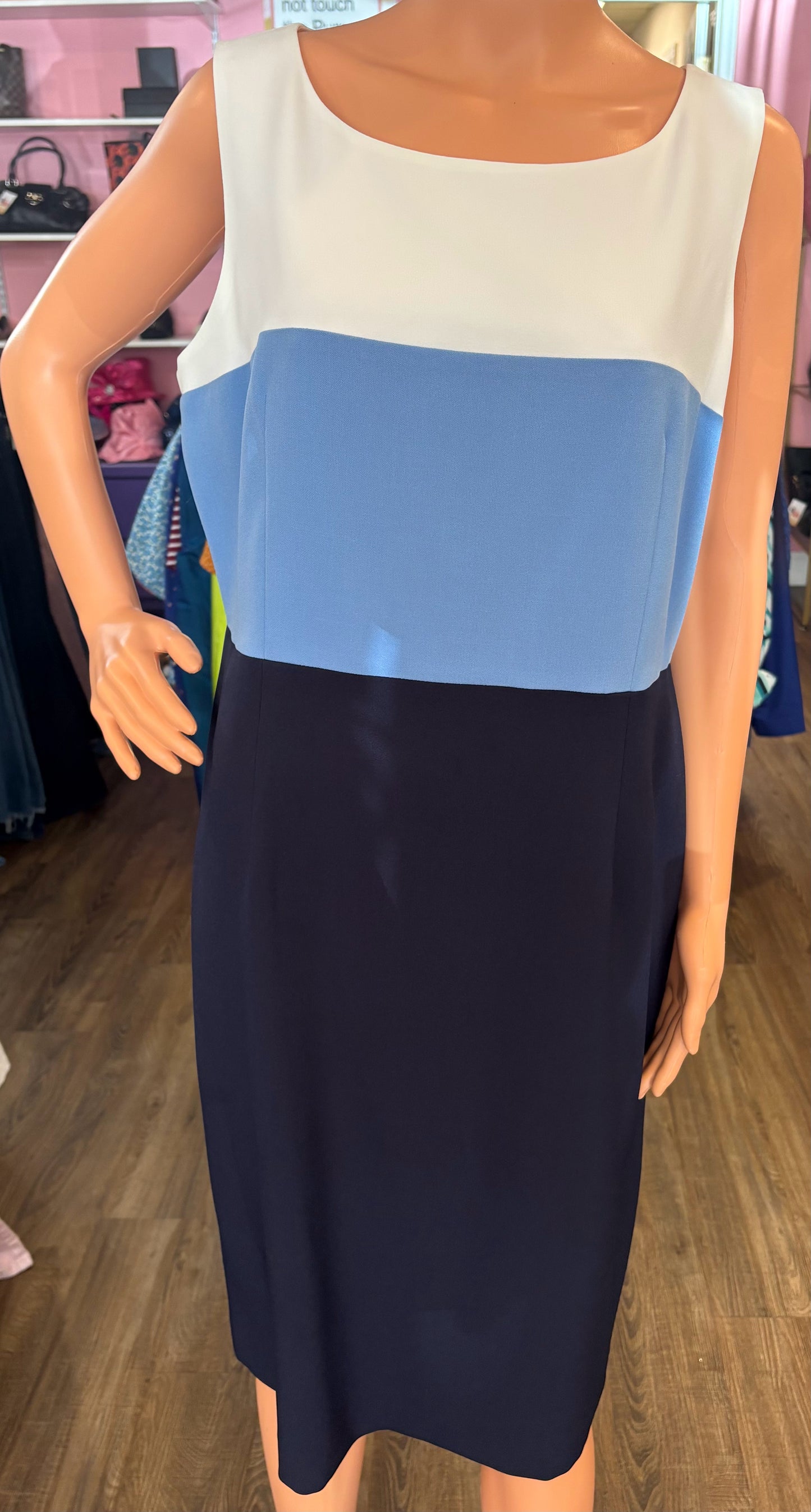 NWT Black Label by Evan-Picone Color-Block Sleeveless Dress Size:14 Sweet Purseonality NWT Black Label by Evan-Picone Color-Block Sleeveless Dress Size:14 Sweet Purseonality