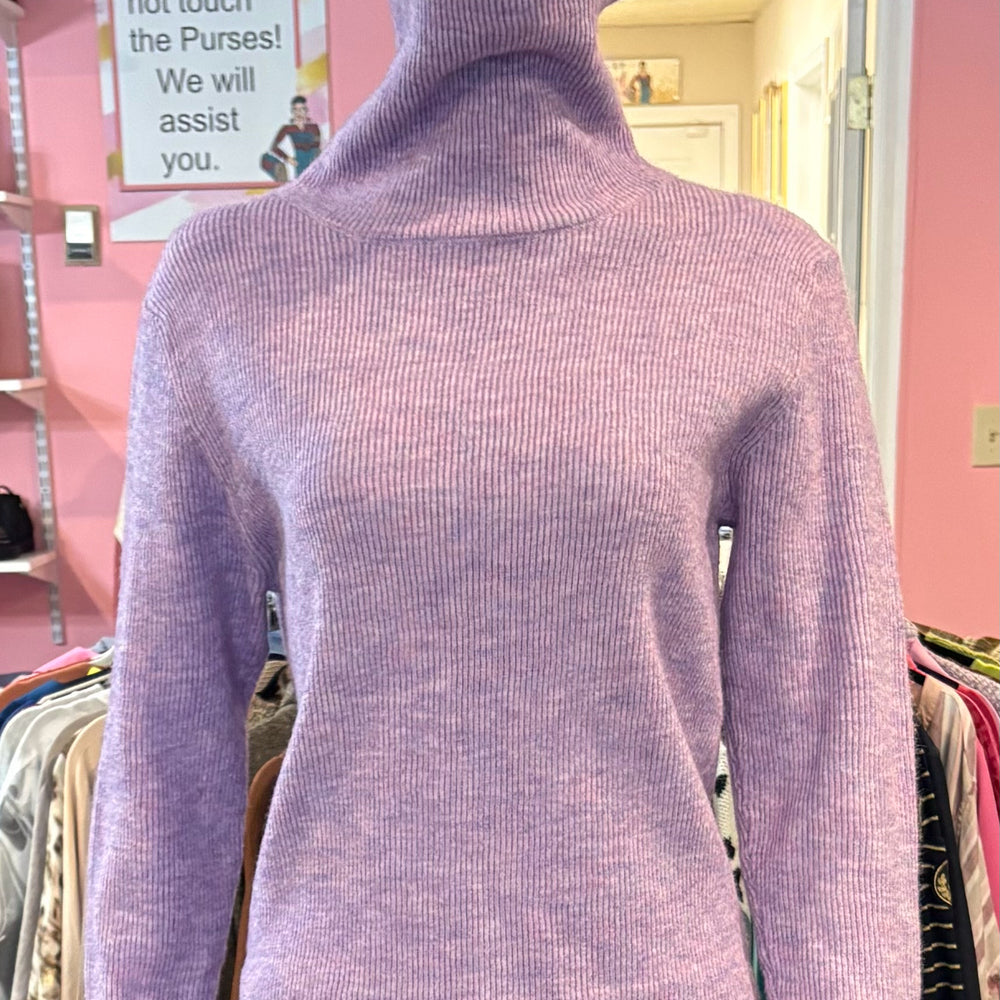 
                      
                        NWT Easel Turtle Neck Purple Sweater Size: M
                      
                    
