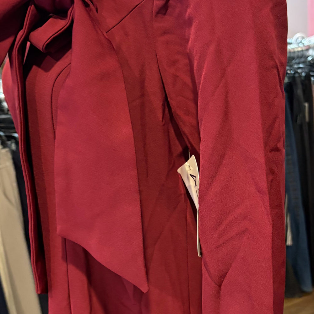 
                      
                        NWT Ashro Maroon Dress with Bow Tie Detailing Size:M
                      
                    