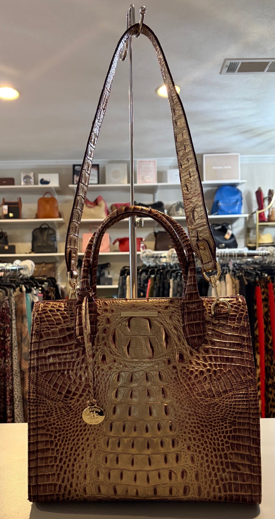 RARE Brahmin Caroline Port Ombre Satchel Bag