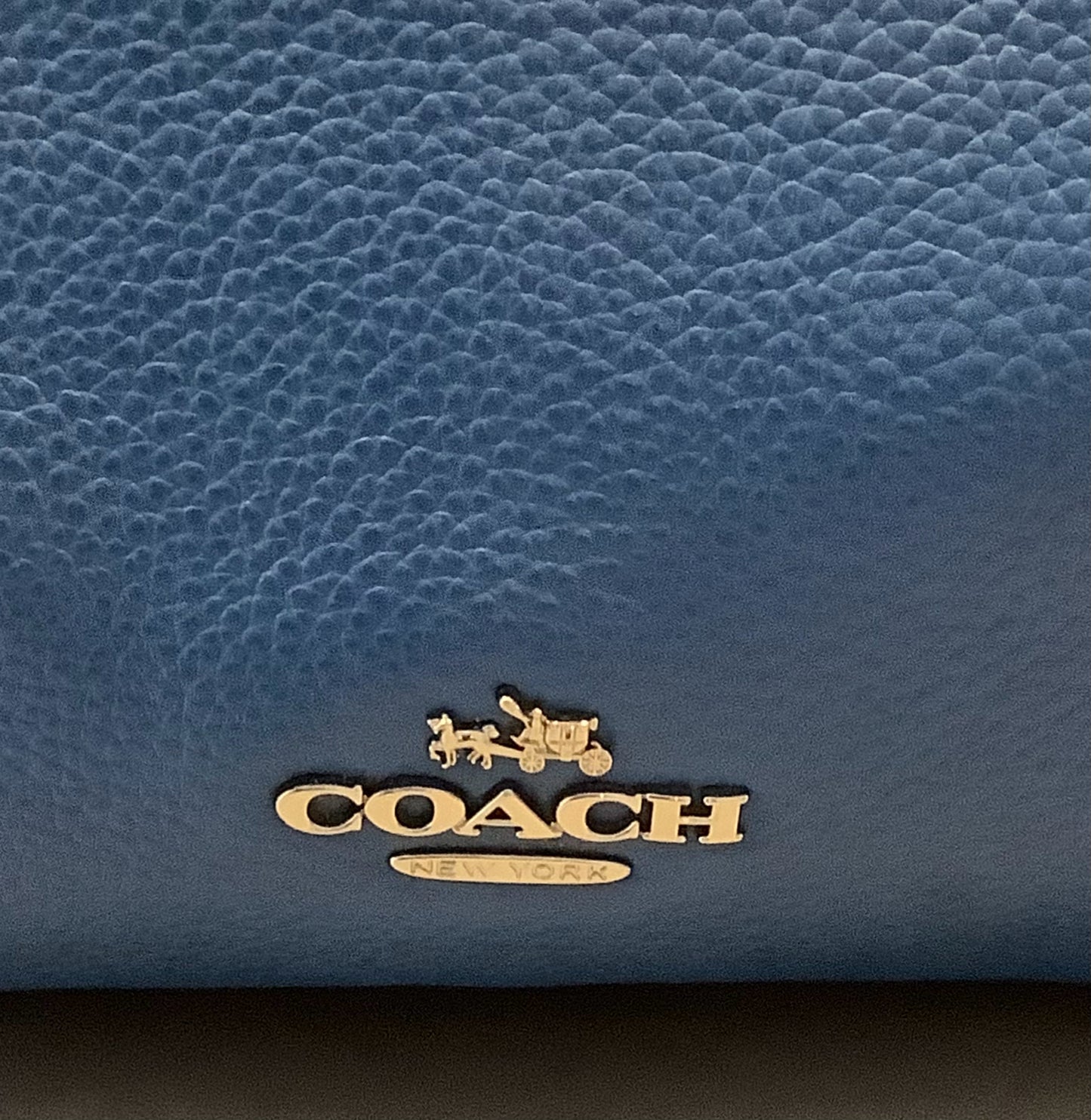 coach charlie pebbled leather backpack f38288 Large Coach Charlie Backpack – Sweet Purseonality