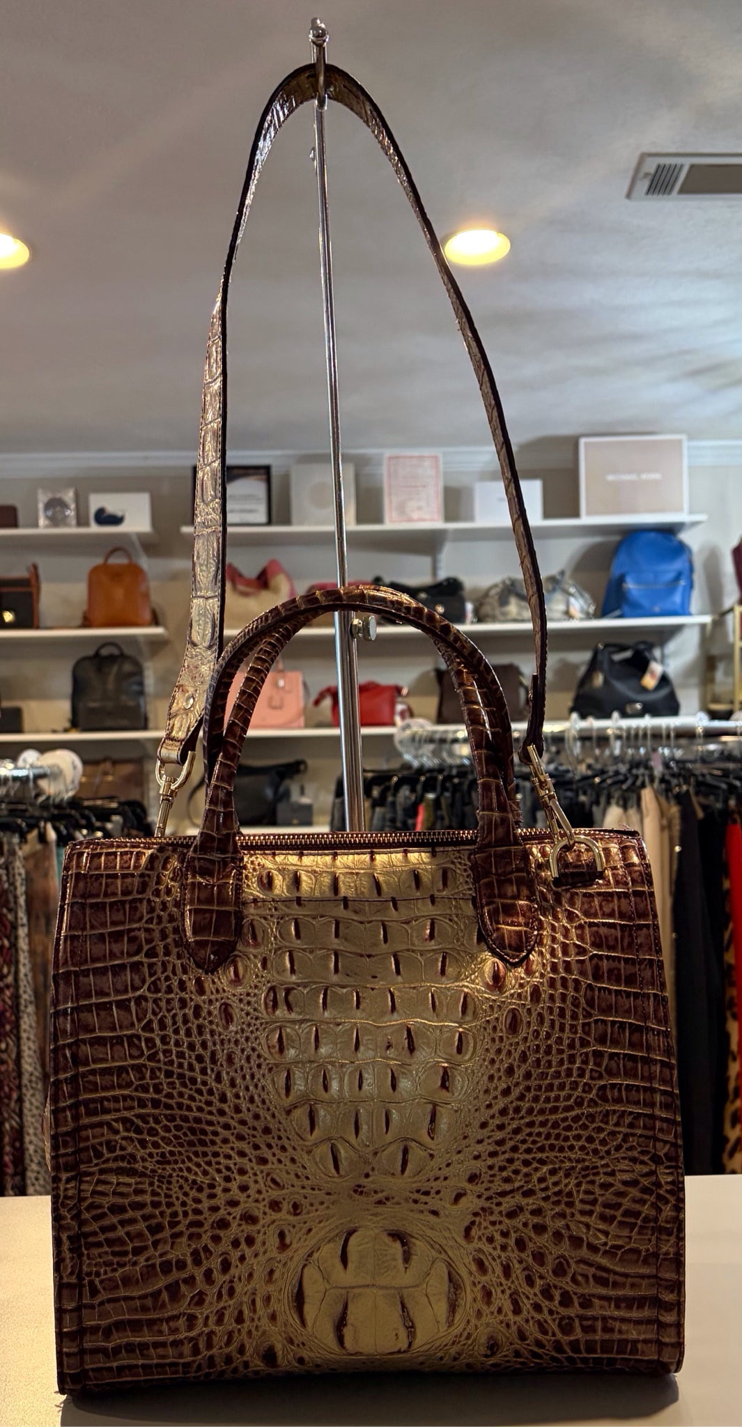RARE Brahmin Caroline Port Ombre Satchel Bag